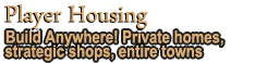 Player Housing & Player-run Towns